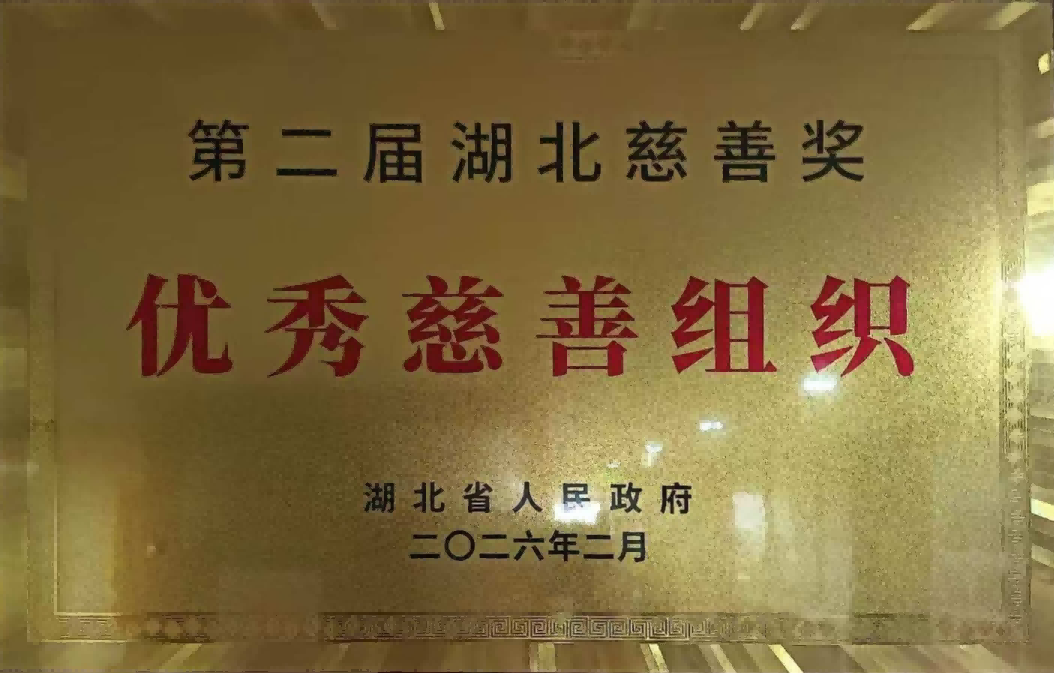 阳光慈善被评委“优秀慈善组织”