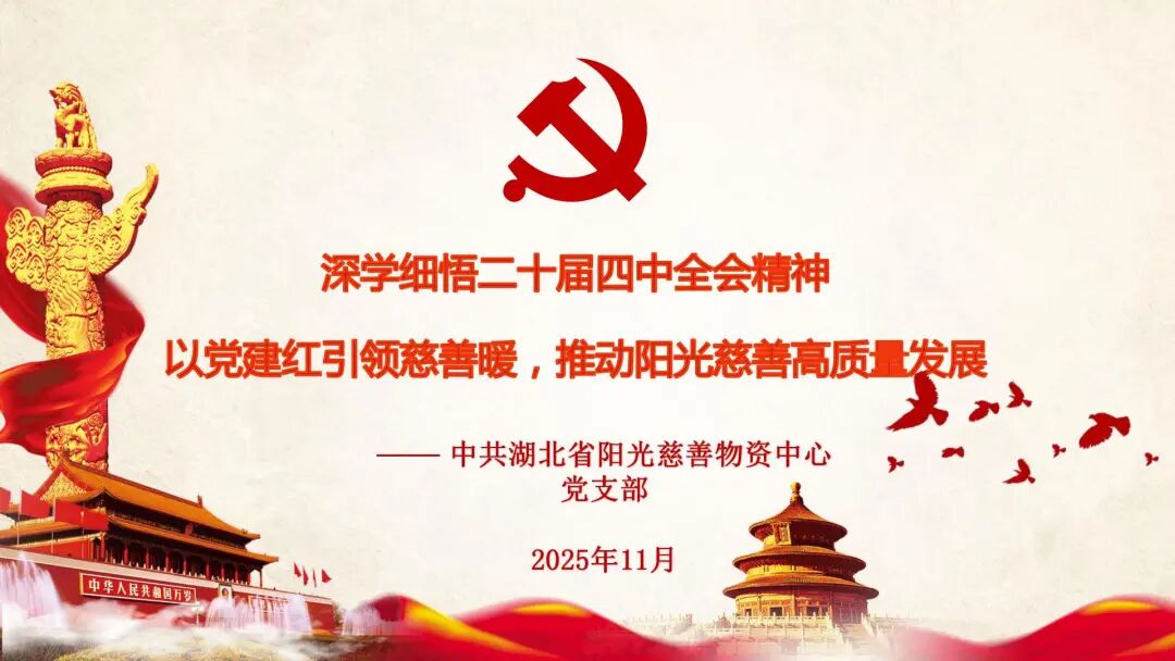 聚力全会精神 党建赋能慈善！湖北省阳光慈善物资中心党支部专题党员大会召开